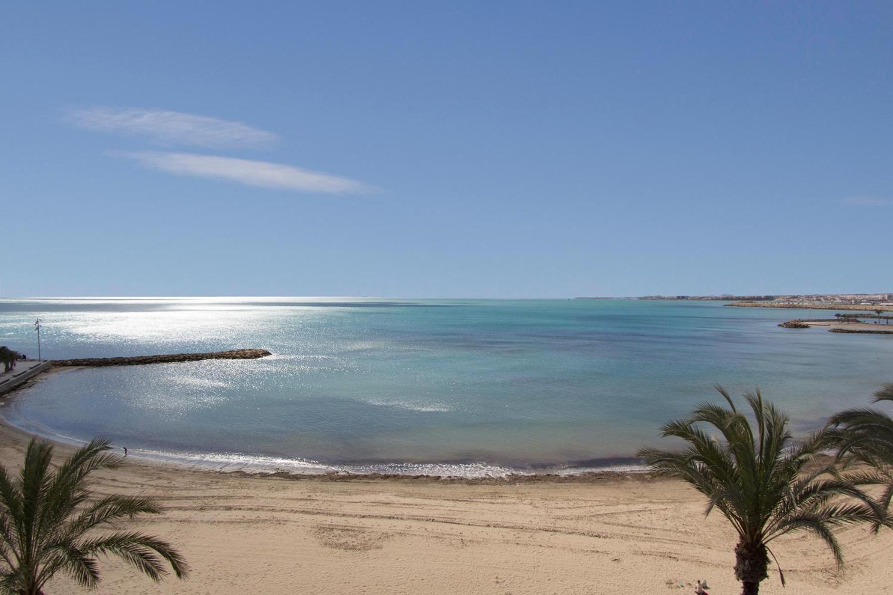 Homely Apartments Royal Torrevieja Exterior photo